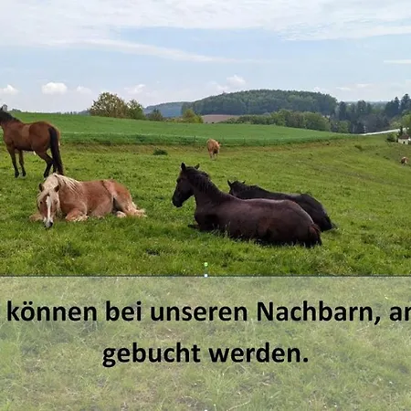 Ursteirerhof - Familie Kerschbaumer