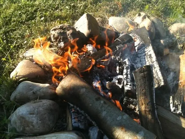 Ursteirerhof - Familie Kerschbaumer Oda ve Kahvaltı 4*