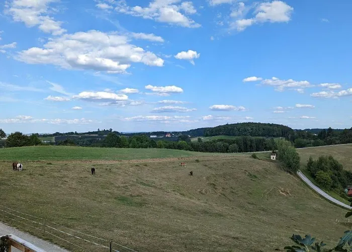 Ursteirerhof - Familie Kerschbaumer Paalsdorf
