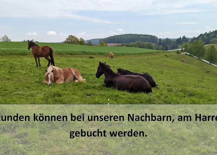 Ursteirerhof - Familie Kerschbaumer